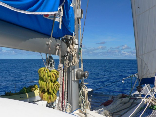 07- En vue de Mopelia avec nos bananes 